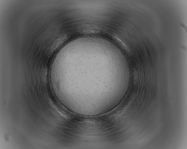 X0000091180490200709060957
