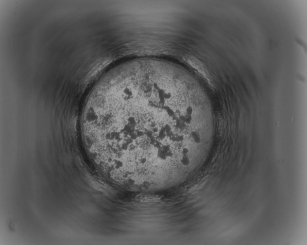 X0000091180491200709060957