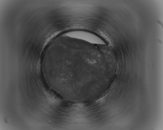 X0000091180492200709060957