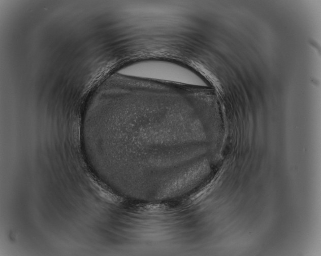 X0000091180493200709060957