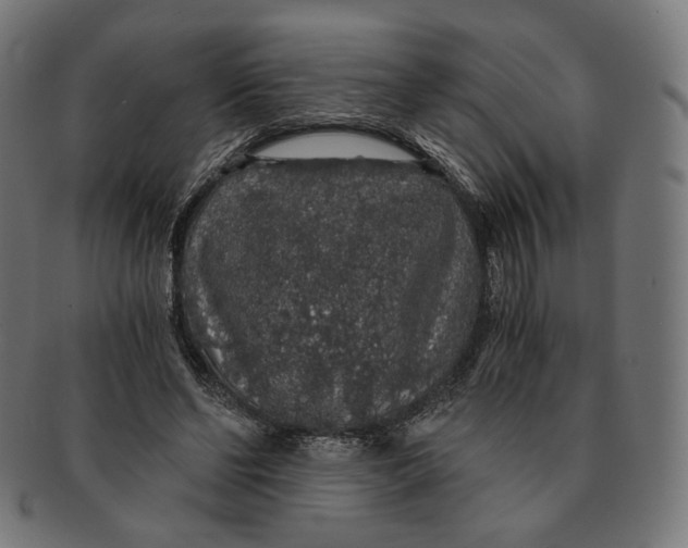 X0000091180494200709060957