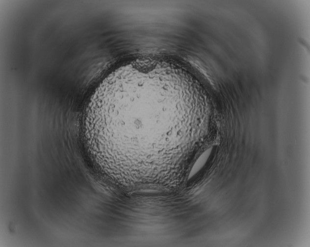 X0000091180495200709060957