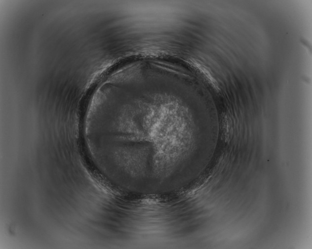 X0000091180496200709060957