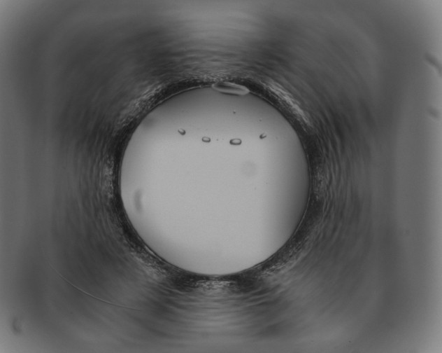 X0000091180497200709060957