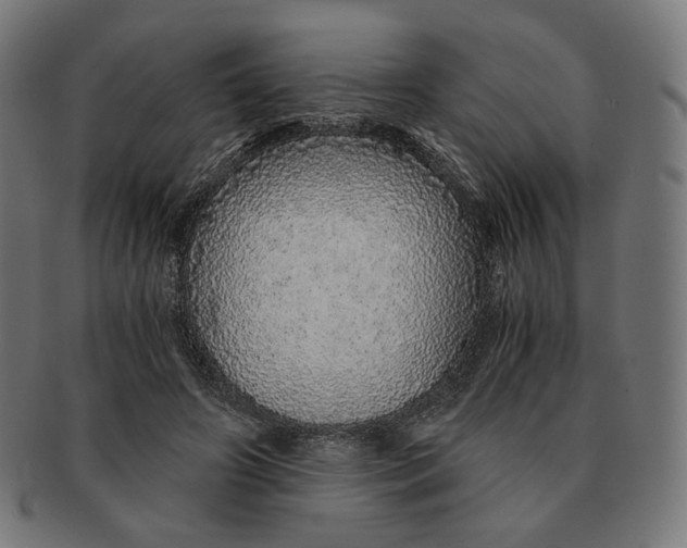 X0000091180498200709060957