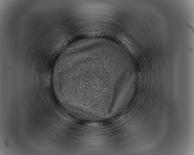 X0000091180499200709060957