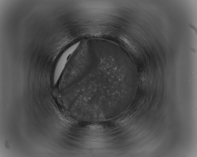X0000091180500200709060957