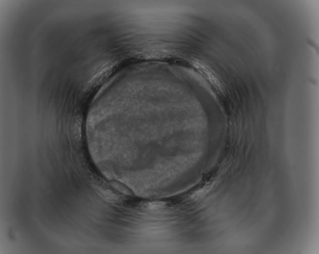 X0000091180501200709060957