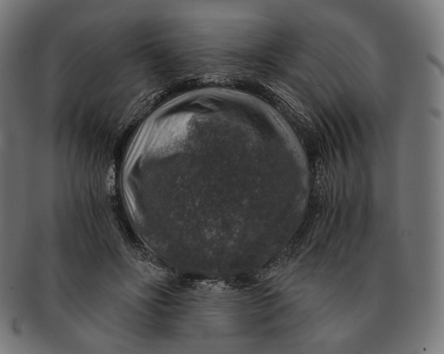 X0000091180502200709060957