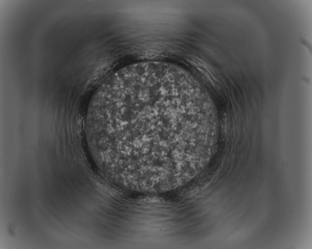 X0000091180503200709060957
