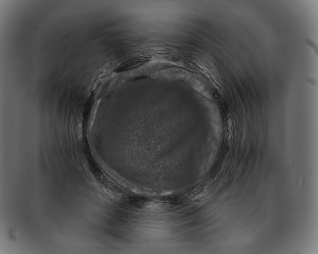 X0000091180504200709060957