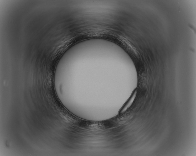 X0000091180505200709060957