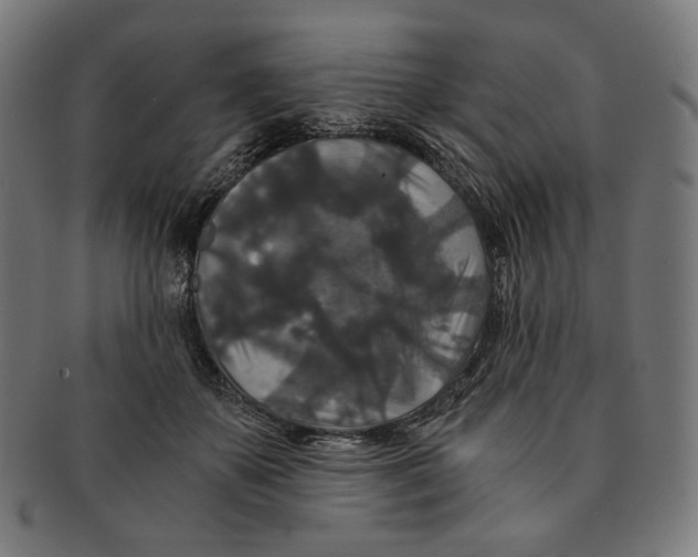 X0000091180507200709060957