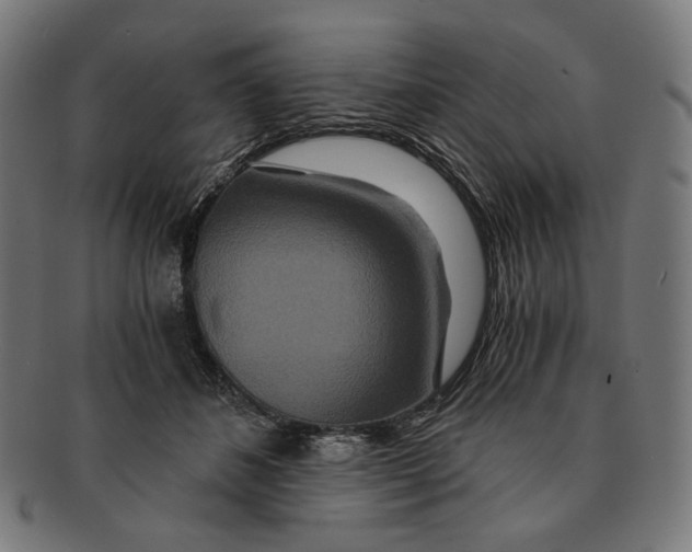 X0000091180508200709060957