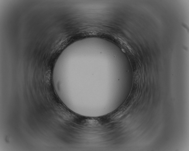 X0000091180509200709060957