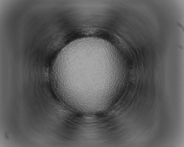 X0000091180510200709060957