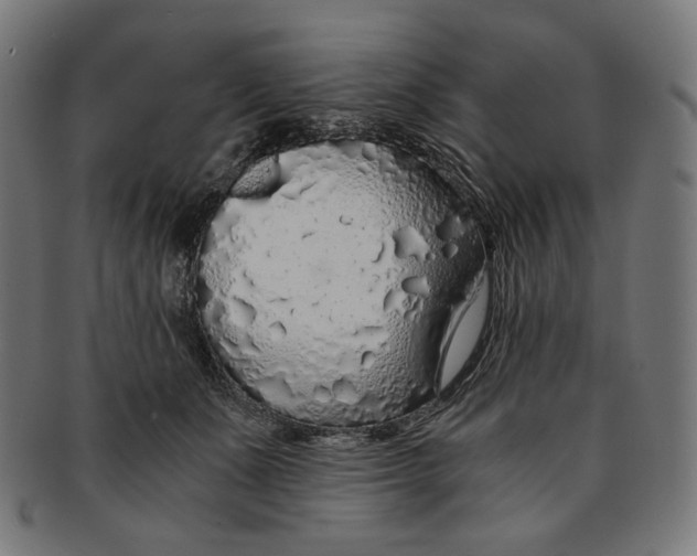 X0000091180511200709060957