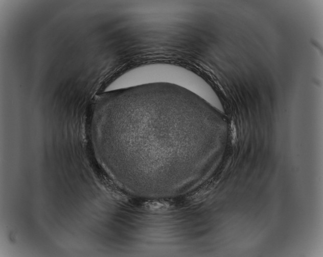 X0000091180512200709060957
