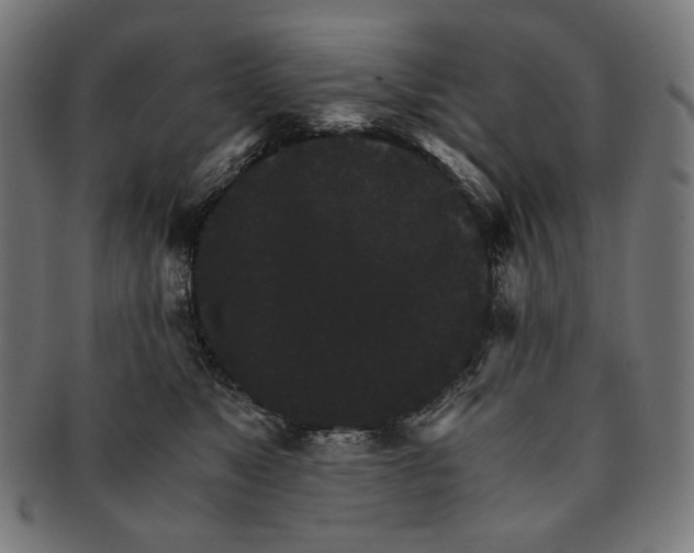 X0000091180517200709060957