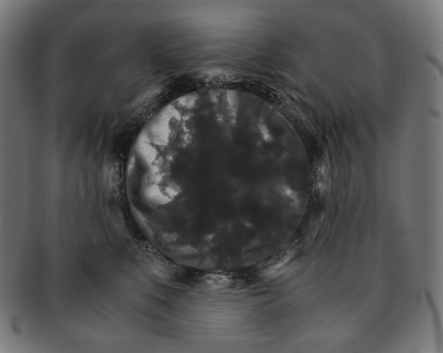 X0000091180519200709060957