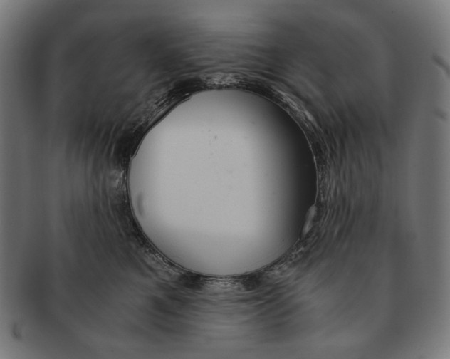 X0000091180521200709060957