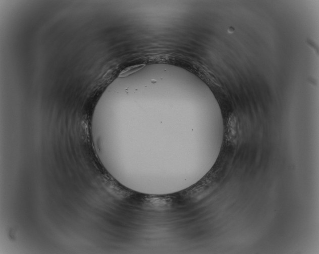 X0000091180522200709060957