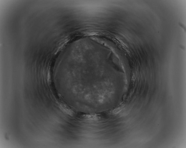 X0000091180524200709060956