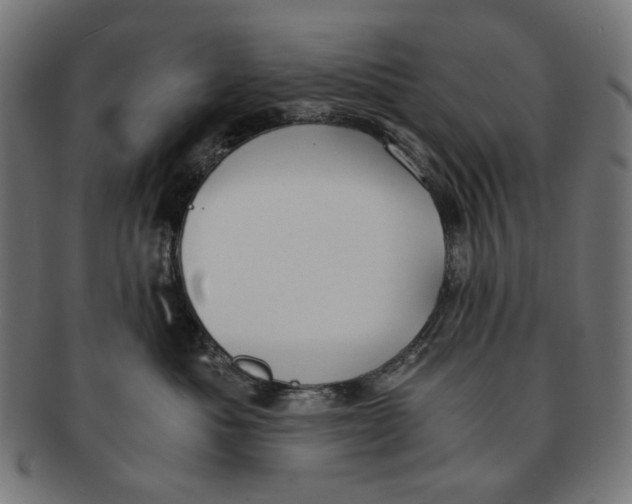 X0000091180525200709060956