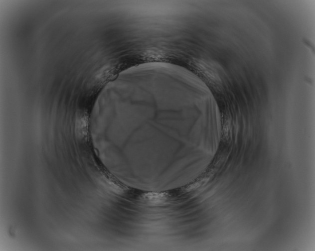 X0000091180526200709060956