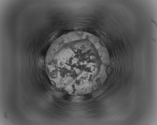 X0000091180527200709060956