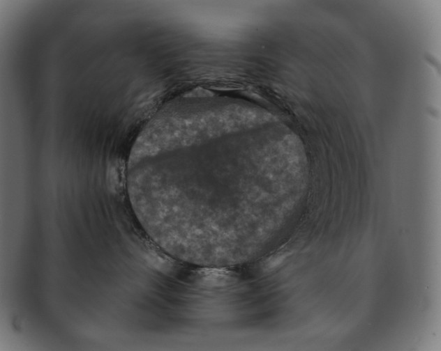 X0000091180528200709060956