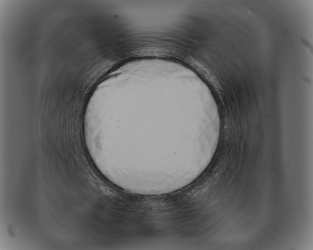 X0000091180529200709060956