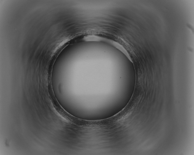 X0000091180530200709060956