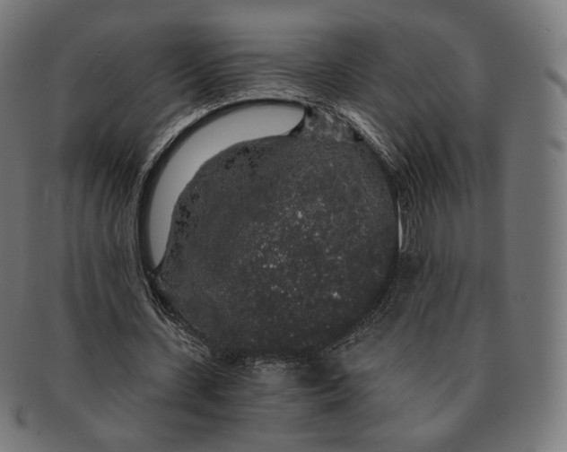 X0000091180531200709060956