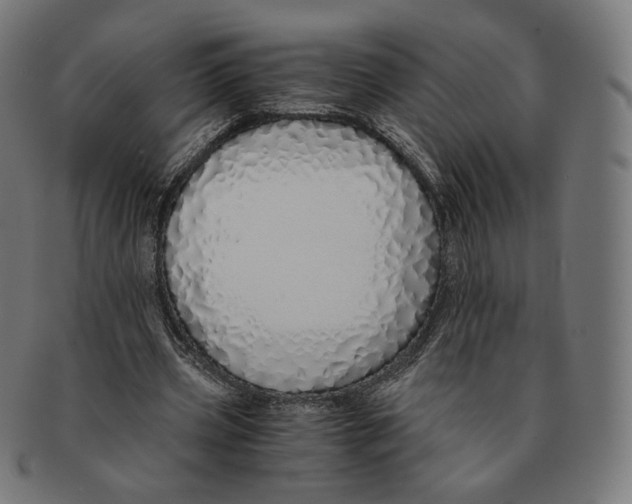 X0000091180533200709060956