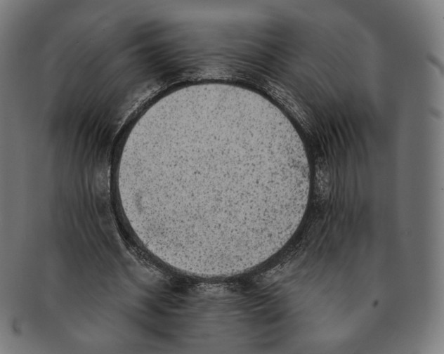 X0000091180534200709060956