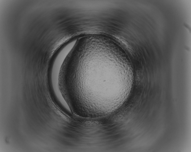 X0000091180535200709060956