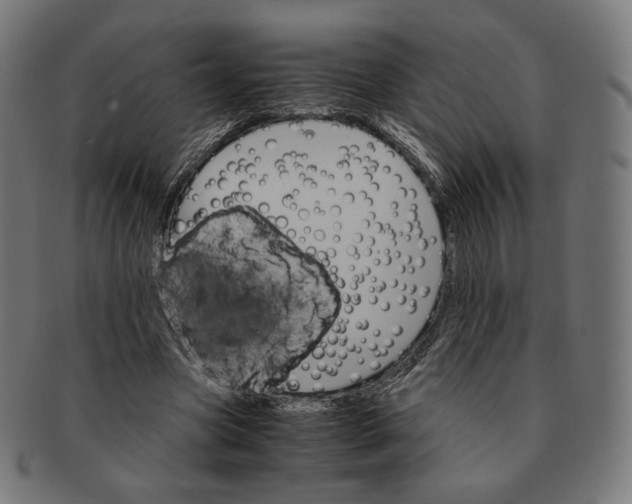 X0000091180537200709060956