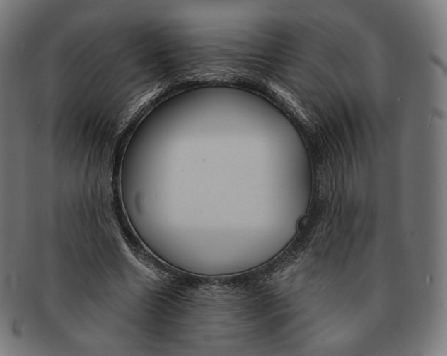 X0000091180538200709060956