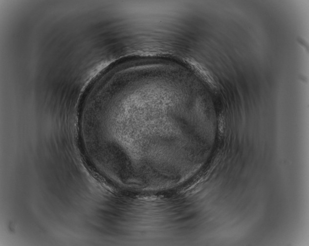 X0000091180540200709060956