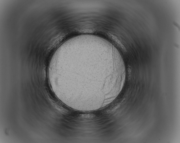 X0000091180541200709060956