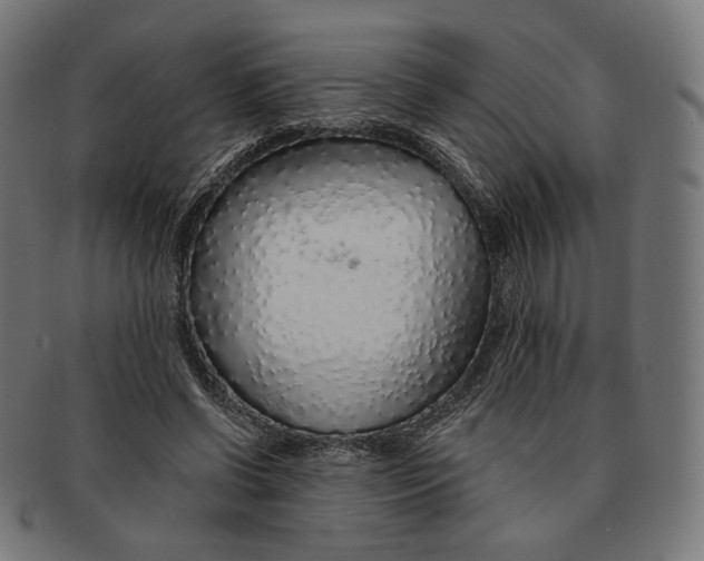 X0000091180542200709060956