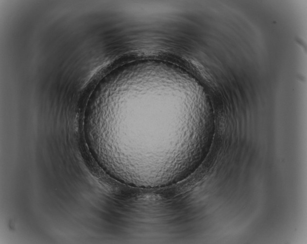 X0000091180543200709060956