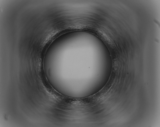 X0000091180544200709060956