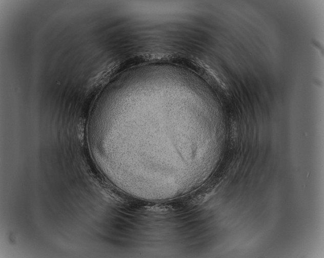 X0000091180545200709060956