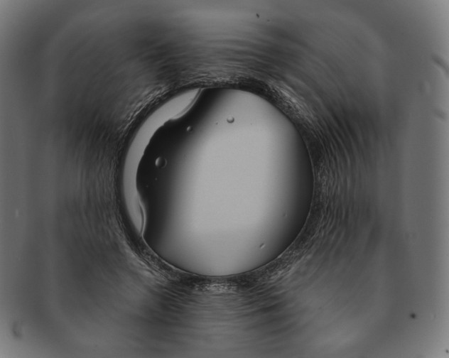 X0000091180546200709060956