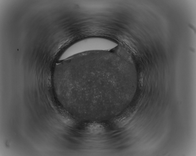X0000091180547200709060956