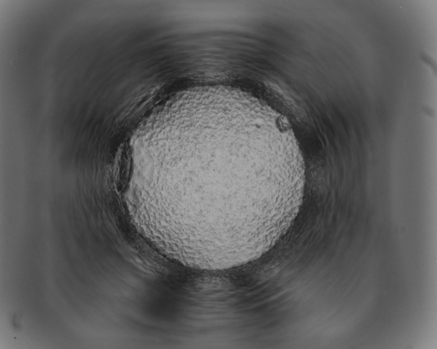 X0000091180549200709060956