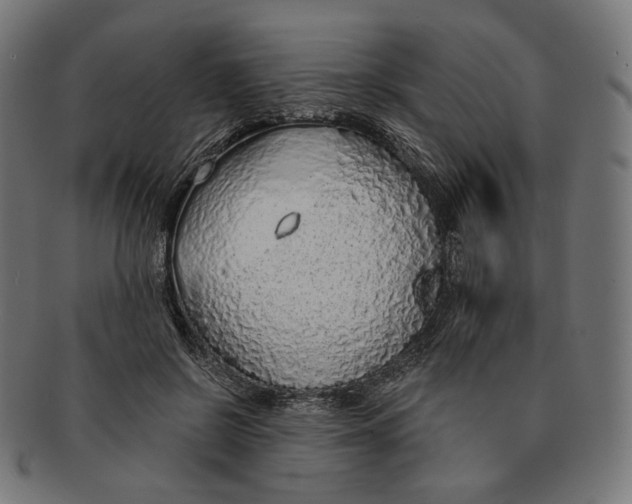 X0000091180550200709060956