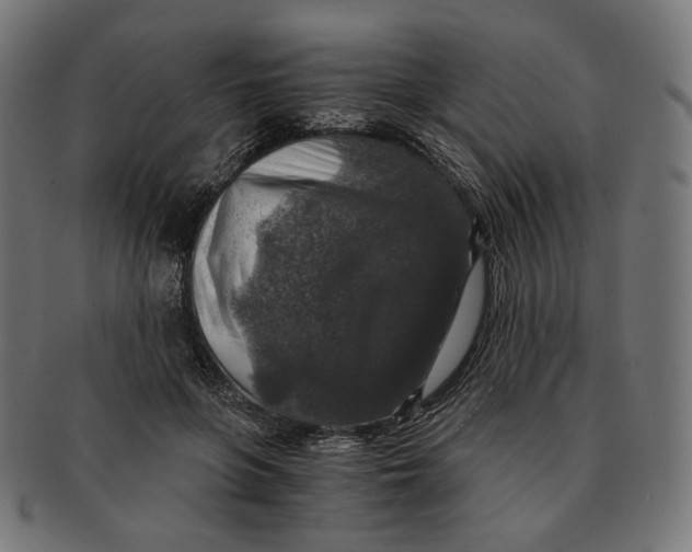 X0000091180551200709060956